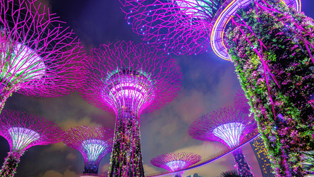 Singapore-2024-Tile-2.jpg